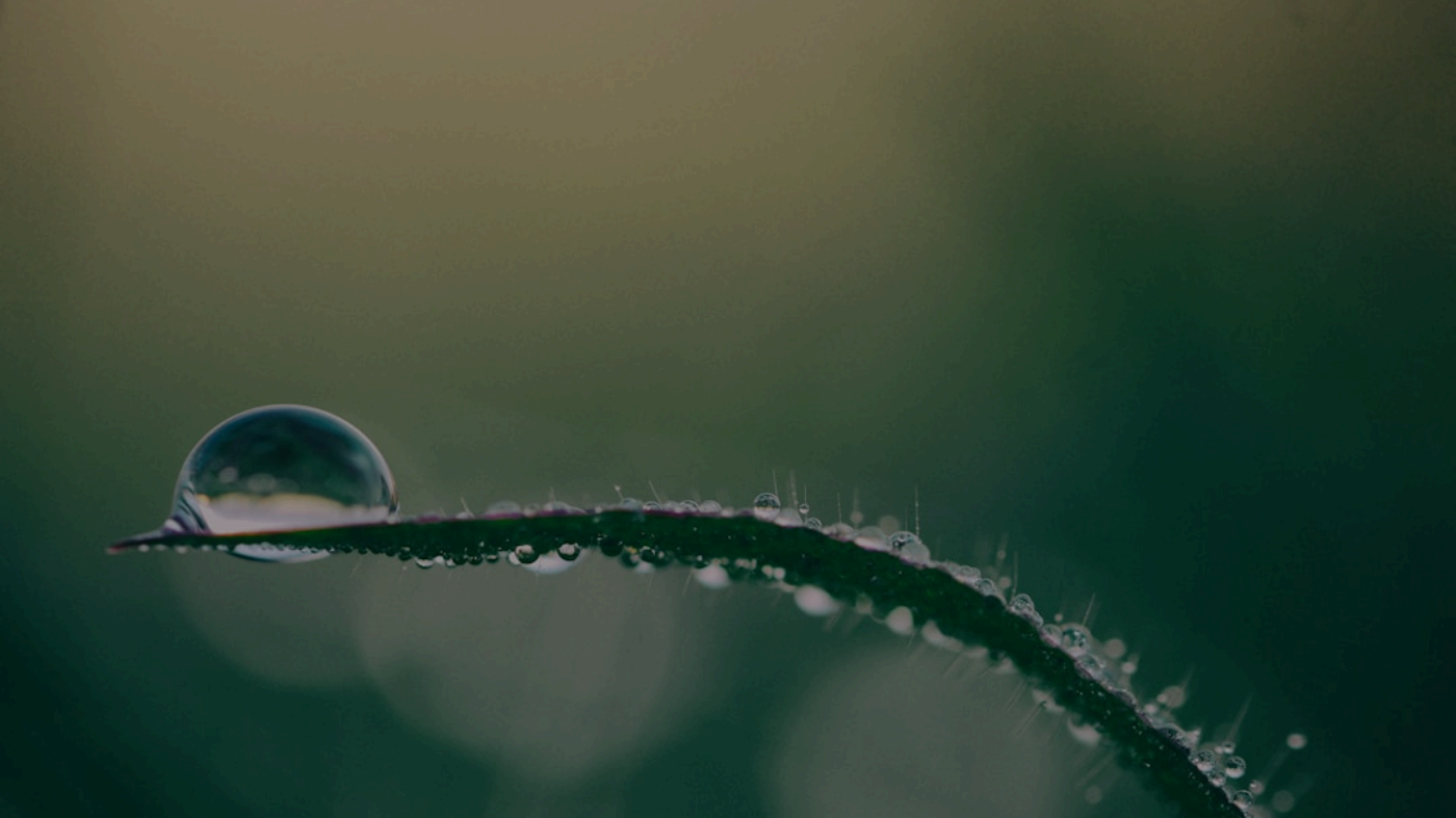 Why QuizBoost's AI Surpasses Conventional Study Tools