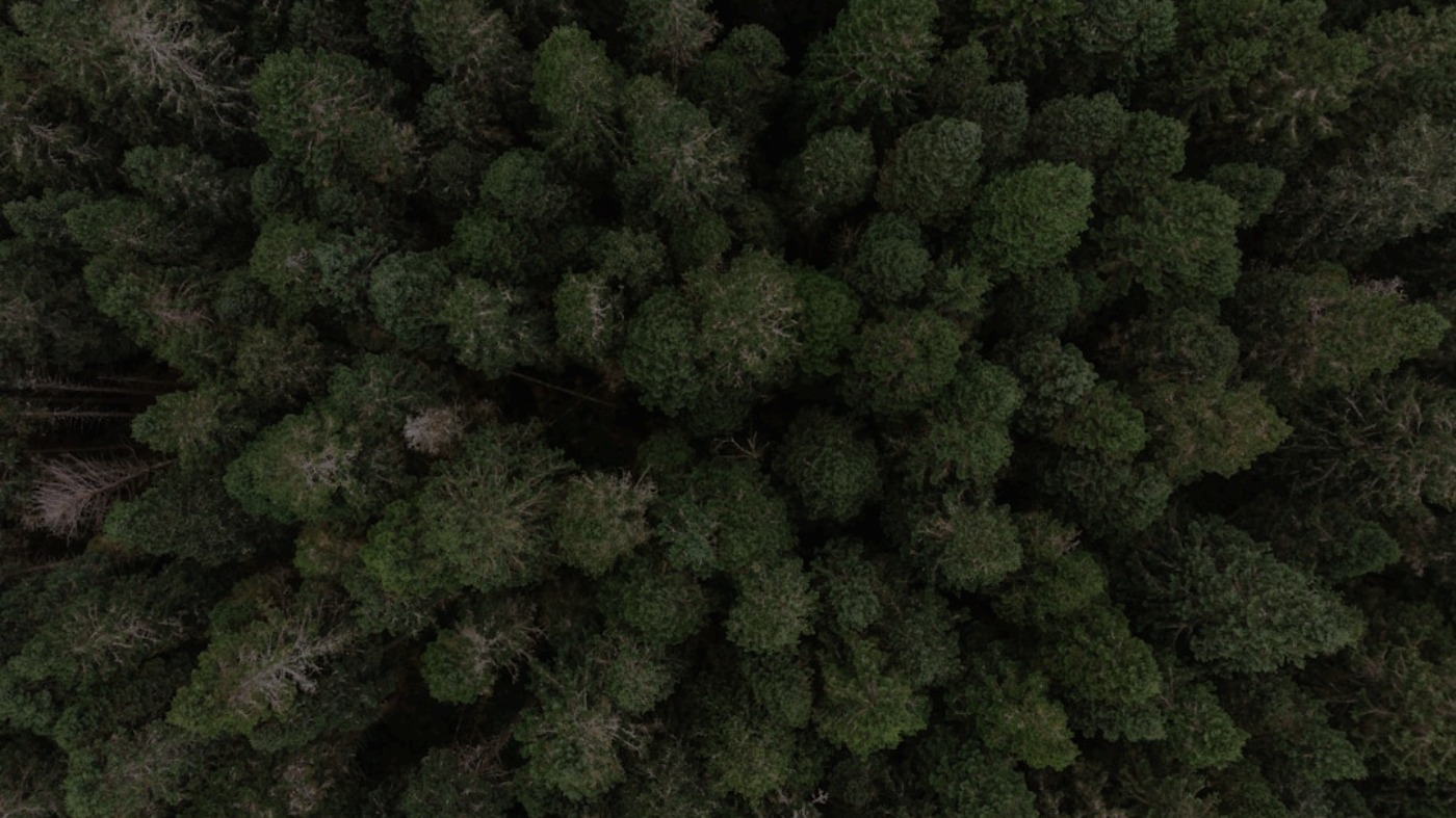 QuizBoost Compatibility - Canvas, Blackboard & Moodle